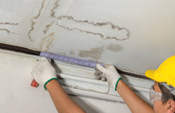 Reliable Mold Remediation contractor in Dundee, MI by Water Damage Irwin